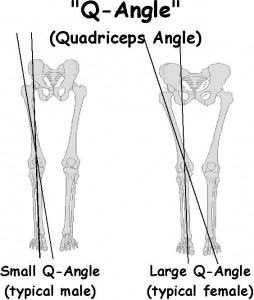 quadriceps angle