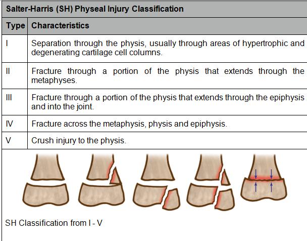 Salter-Harris Physeal Injury Classification