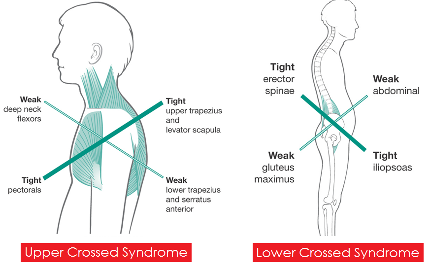 Figures 3 and 4